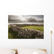 Irlande Connemara