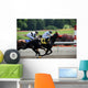 Horse Race