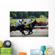 Horse Race
