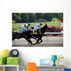 Horse Race
