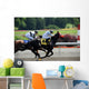 Horse Race