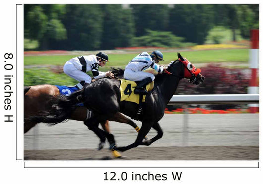 Horse Race