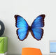 Blue Morpho Butterfly Morpho Godarti Wall Decal