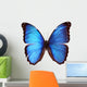 Blue Morpho Butterfly Morpho Godarti Wall Decal