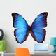 Blue Morpho Butterfly Morpho Godarti Wall Decal