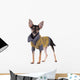 Small dog toy terrier in clothes isolated on white Wall Decal