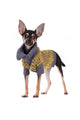 Small dog toy terrier in clothes isolated on white Wall Decal