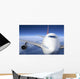 airplane Wall Mural