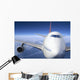 airplane Wall Mural