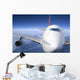 airplane Wall Mural