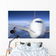 airplane Wall Mural