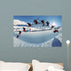Ski Wall Mural