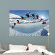Ski Wall Mural