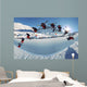 Ski Wall Mural