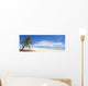 Palm Tree and White