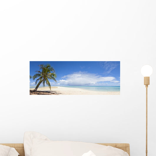 Palm Tree and White