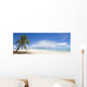 Palm Tree and White