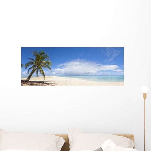 Palm Tree and White