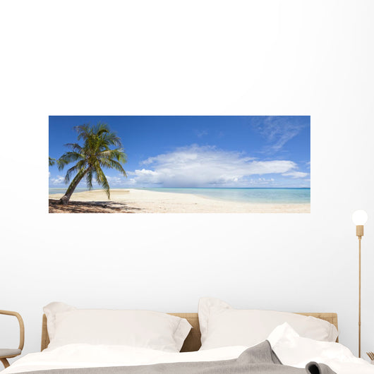 Palm Tree and White