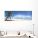 Palm Tree and White