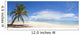 Palm Tree and White