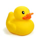Duck yellow Wall Decal