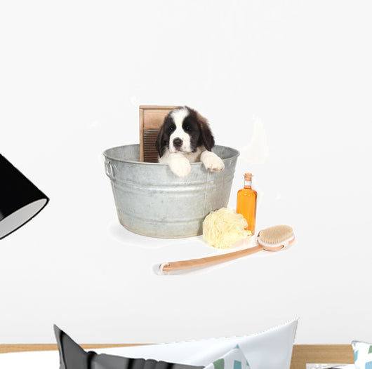 Saint Bernard Puppy in a Washtub Wall Decal