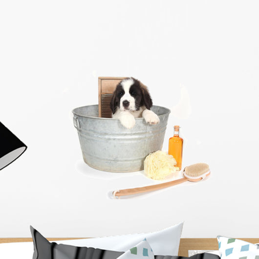 Saint Bernard Puppy in a Washtub Wall Decal
