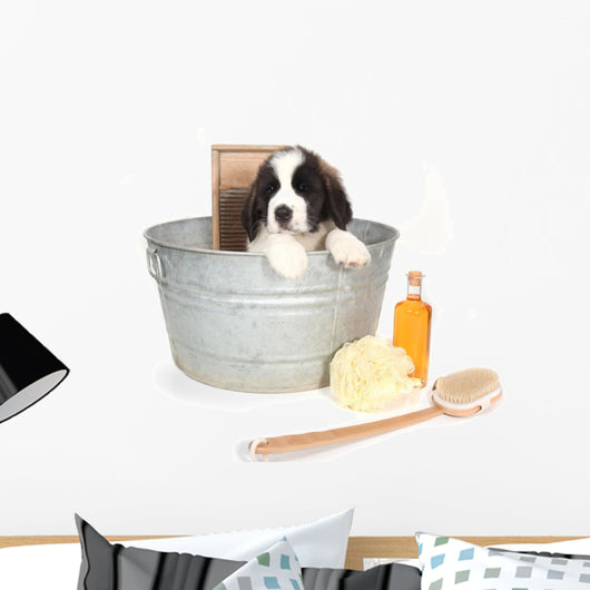 Saint Bernard Puppy in a Washtub Wall Decal