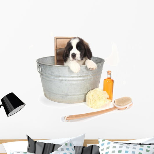 Saint Bernard Puppy in a Washtub Wall Decal
