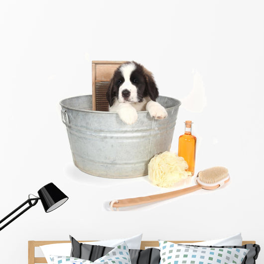 Saint Bernard Puppy in a Washtub Wall Decal