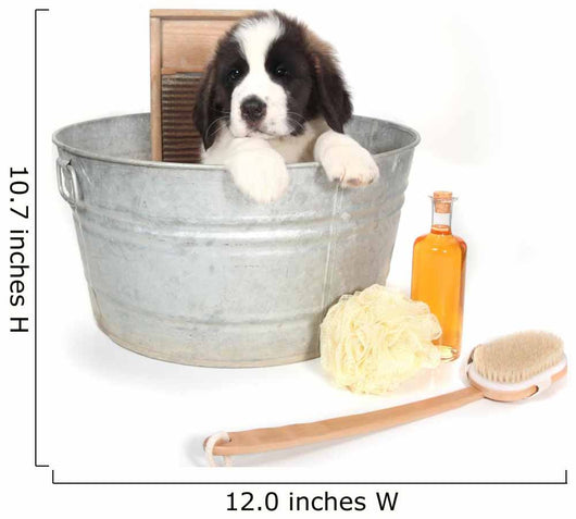 Saint Bernard Puppy in a Washtub Wall Decal