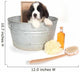 Saint Bernard Puppy in a Washtub Wall Decal