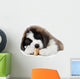 Saint Bernard Puppy Enjoying a Treat Wall Decal