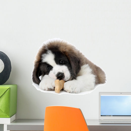 Saint Bernard Puppy Enjoying a Treat Wall Decal