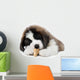 Saint Bernard Puppy Enjoying a Treat Wall Decal