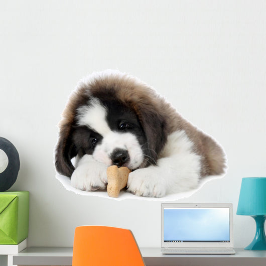 Saint Bernard Puppy Enjoying a Treat Wall Decal