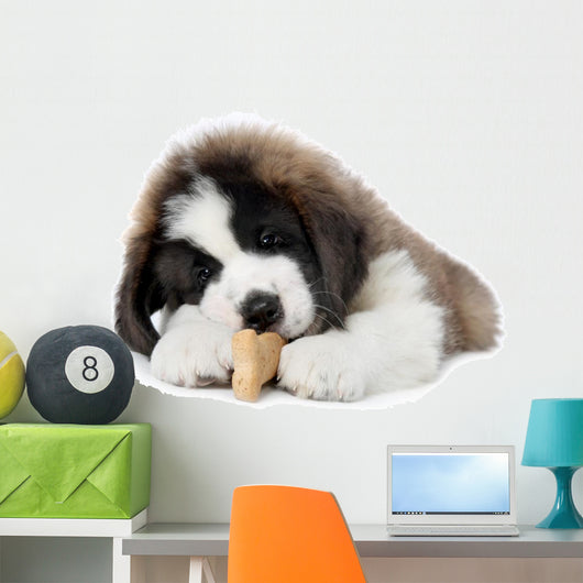 Saint Bernard Puppy Enjoying a Treat Wall Decal