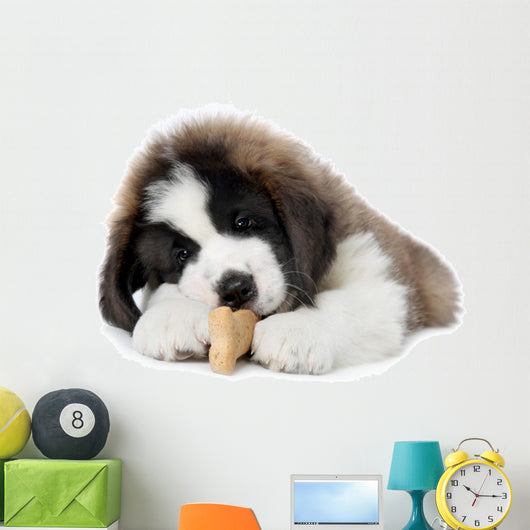 Saint Bernard Puppy Enjoying a Treat Wall Decal