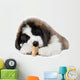 Saint Bernard Puppy Enjoying a Treat Wall Decal