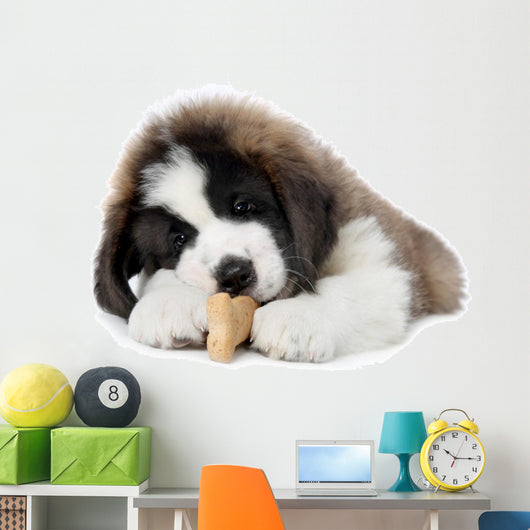 Saint Bernard Puppy Enjoying a Treat Wall Decal