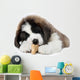 Saint Bernard Puppy Enjoying a Treat Wall Decal