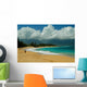Baldwin Beach Wall Mural