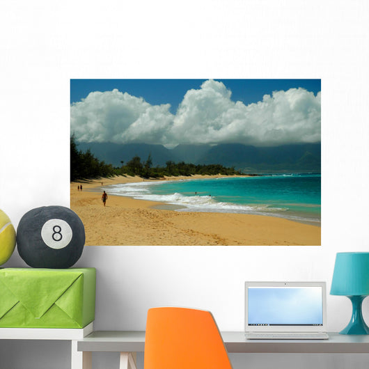 Baldwin Beach Wall Mural