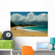 Baldwin Beach Wall Mural