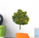 Lime Tree Wall Decal