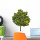 Lime Tree Wall Decal