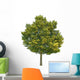 Lime Tree Wall Decal
