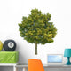 Lime Tree Wall Decal