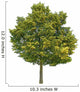 Lime Tree Wall Decal